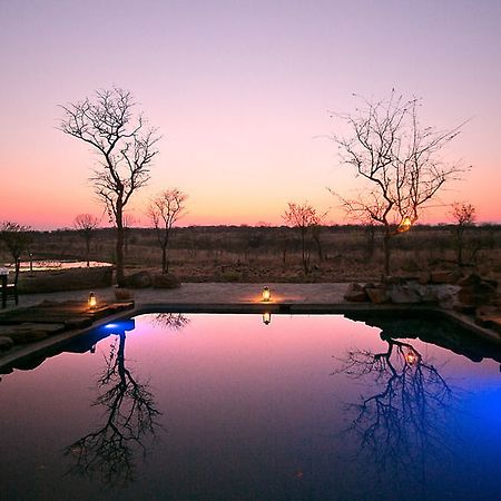 Wildtrack Safaris Eco Lodge Pandamatenga Exteriör bild