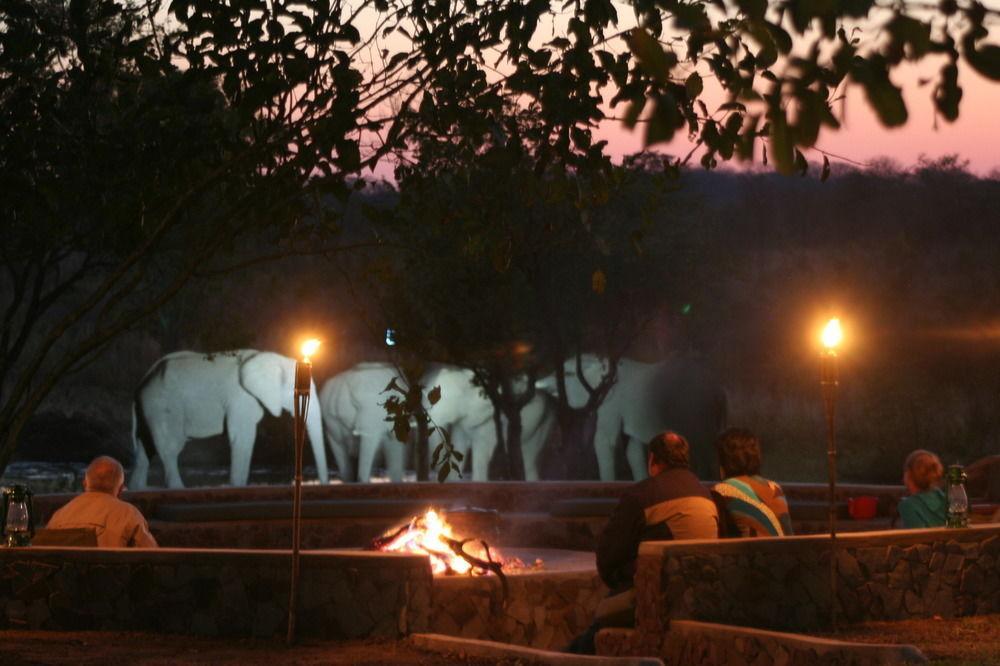 Wildtrack Safaris Eco Lodge Pandamatenga Exteriör bild