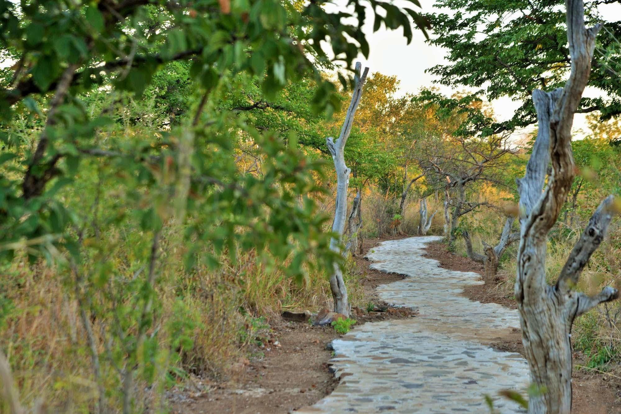 Wildtrack Safaris Eco Lodge Pandamatenga Exteriör bild