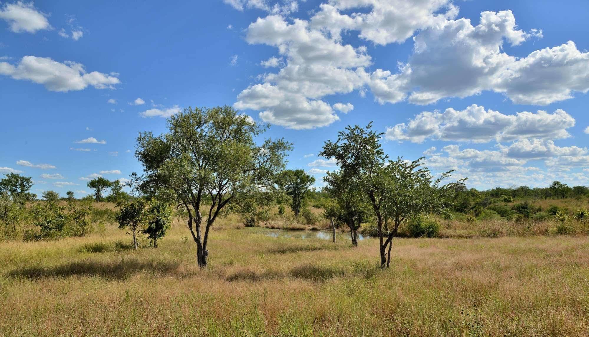 Wildtrack Safaris Eco Lodge Pandamatenga Exteriör bild