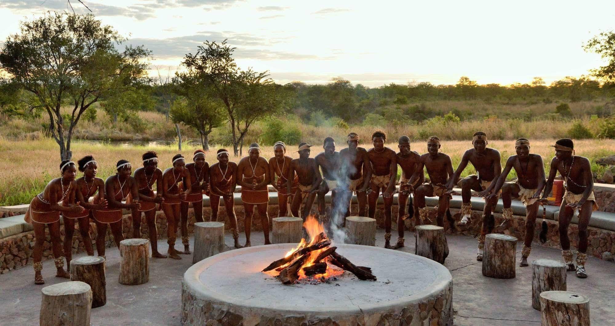 Wildtrack Safaris Eco Lodge Pandamatenga Exteriör bild
